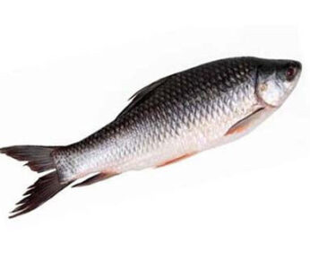 Rui Mach – Rui Fish | রুই মাছ