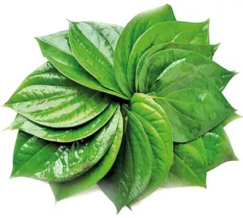 Paan (Betel Leaf)